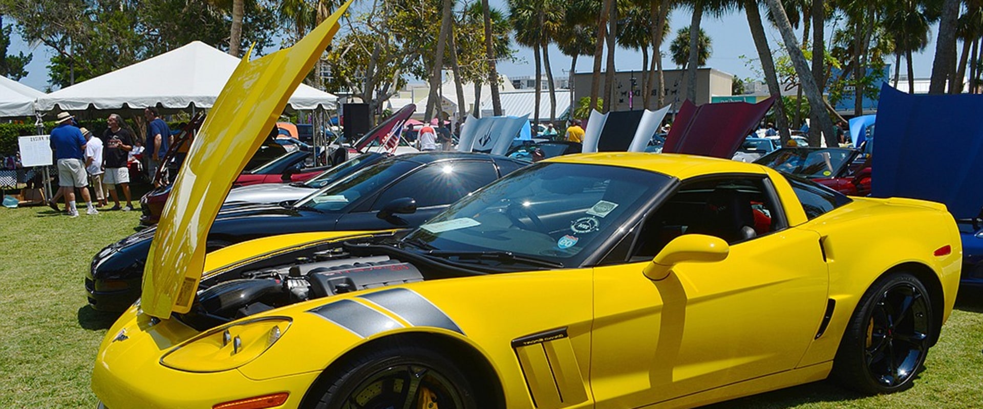 All You Need to Know About Dues and Fees for the Tri State Corvette Club